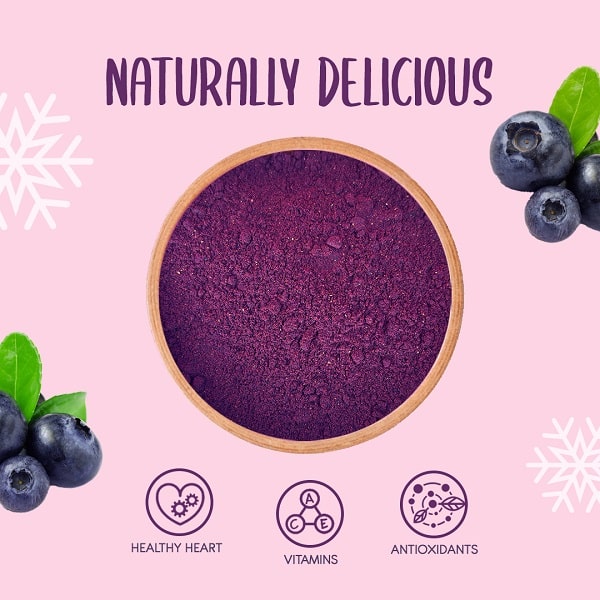 Alternative view of Freeze Dried Wild Blueberry Powder